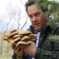 Thumbnail image for Colorado Oyster Mushrooms!