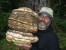 Thumbnail image for Looking for a quick introduction to mycorestoration?
