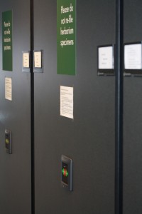 IMG 2329 e1293750385691 200x300 The Sam Mitchel Herbarium of Fungi