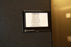 IMG 2347 300x200 The Sam Mitchel Herbarium of Fungi