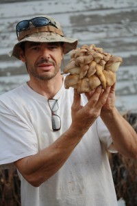 IMG 3115 e1303449118108 200x300 James with Pleurotus