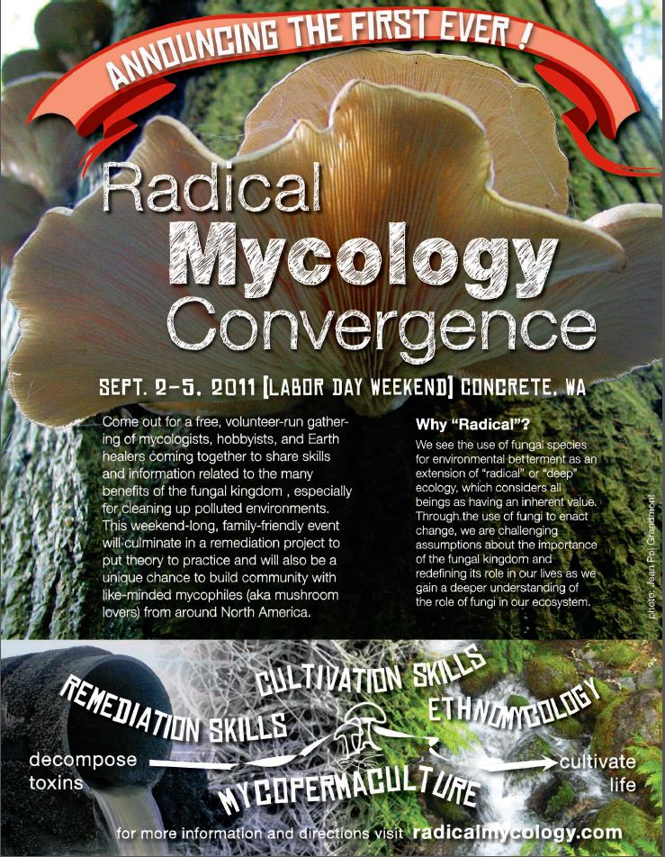 mycoconvergence Telluride Mushroom Festival Report